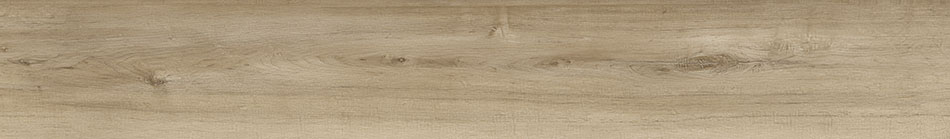 Northern Birch 7x48 Matte