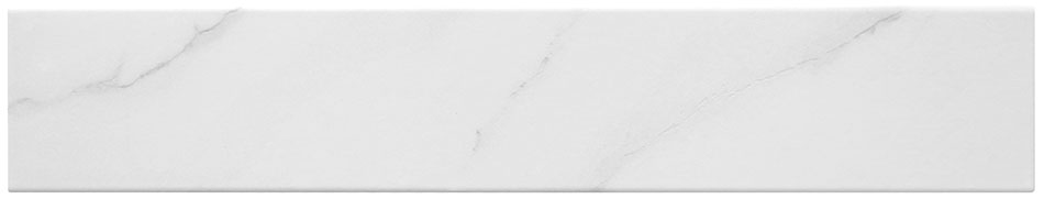 Bismarck Palmer Collection collection