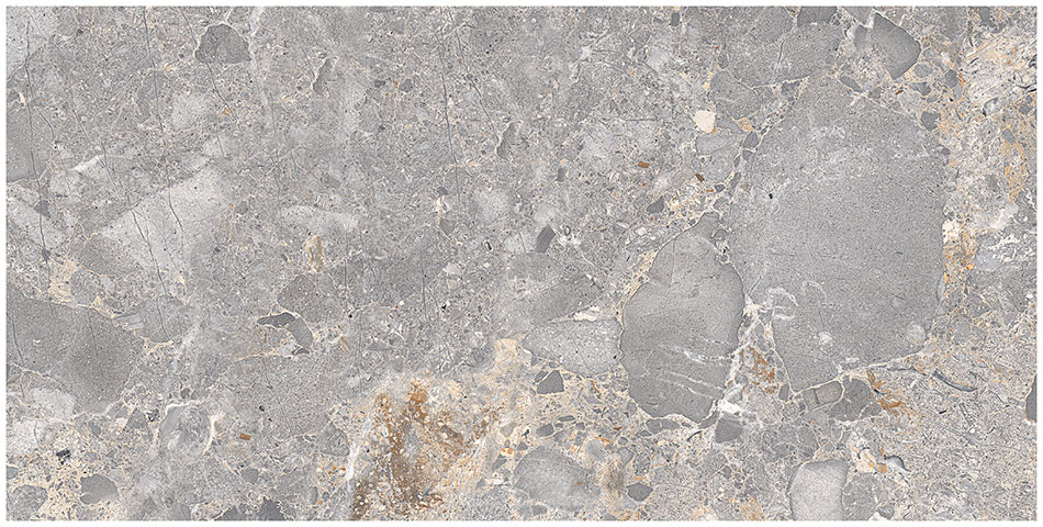 Coda 12x24 Stellata Matte