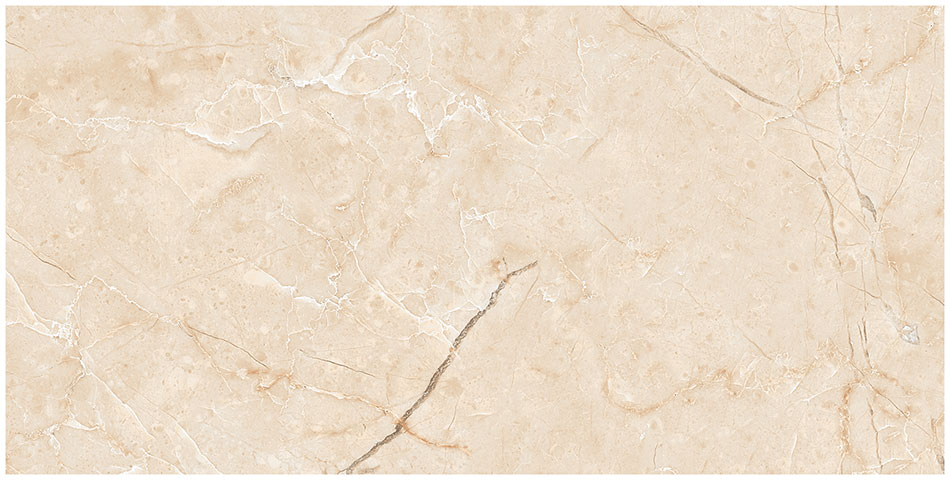 Andante 12x24 Stellata Matte