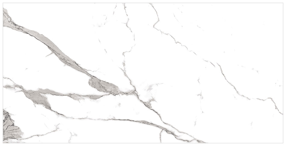 Tocatta 12x24 DCOF Matte